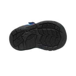 Keen Toddlers' Newport H2SHO | Multi/Bright Cobalt 13 Keen Toddlers' Newport H2SHO | Multi/Bright Cobalt -Footique Shop 0f9ee6253f57862281132f6947140b18015f43b1